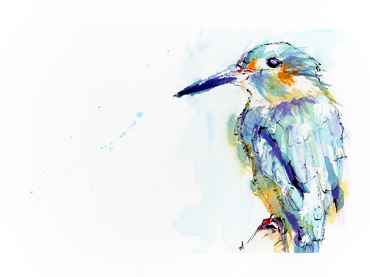 Watercolour and ink painting of a small bird perched in profile