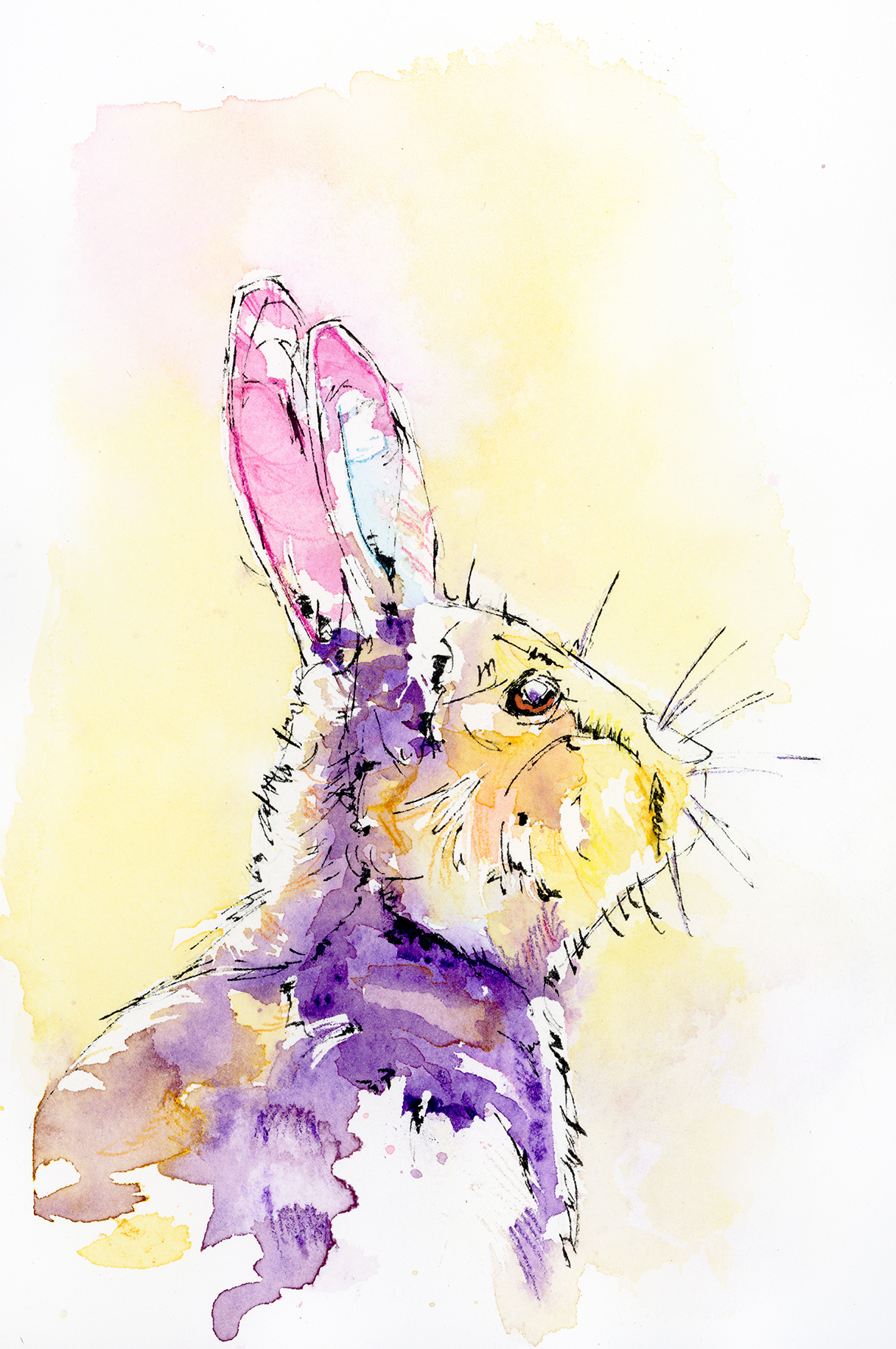 Watercolour and ink painting of a rabbit portrait with layered washes