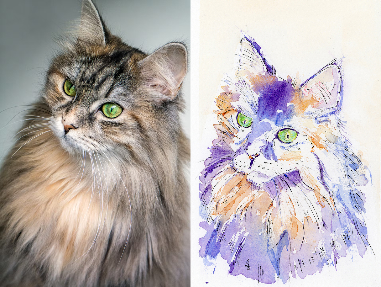 Before-and-after of a cat photo and custom watercolour and ink pet portrait