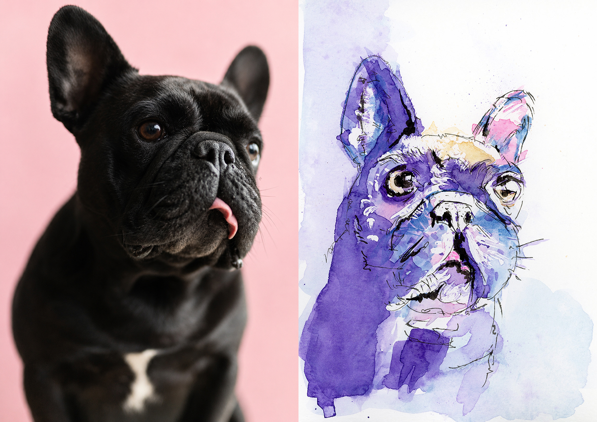Before-and-after of a French bulldog photo and custom watercolour and ink pet portrait
