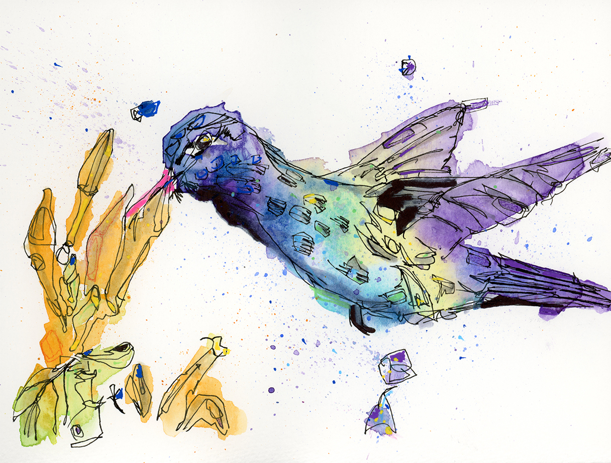 A hummingbird mid-hover, painted in watercolour and ink, capturing delicate strength and steady focus.